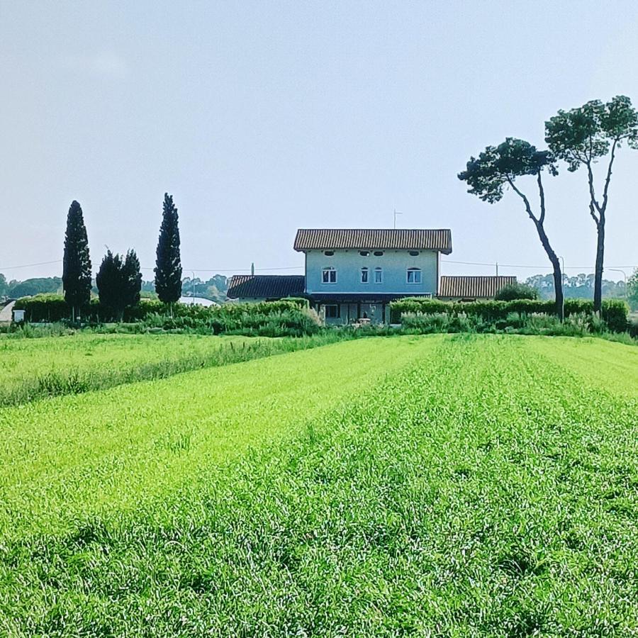La Ricarda Dimora Di Campagna Bed & Breakfast Paestum Dış mekan fotoğraf