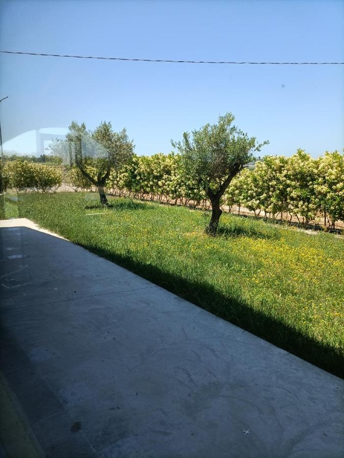 La Ricarda Dimora Di Campagna Bed & Breakfast Paestum Dış mekan fotoğraf