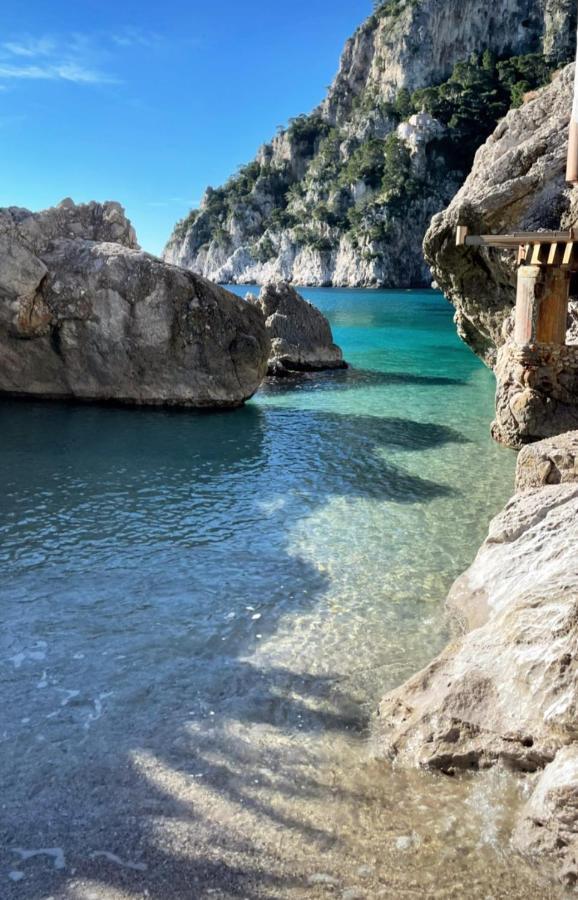 La Ricarda Dimora Di Campagna Bed & Breakfast Paestum Dış mekan fotoğraf