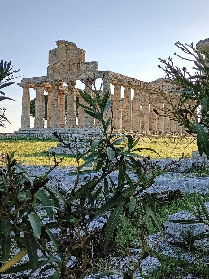 La Ricarda Dimora Di Campagna Bed & Breakfast Paestum Dış mekan fotoğraf